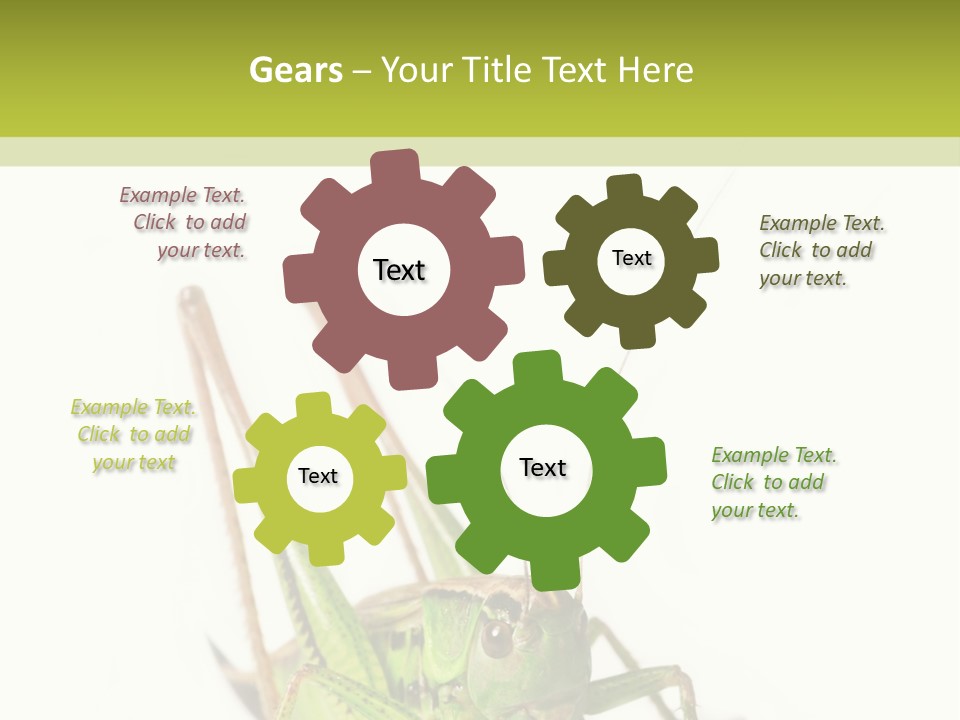 White Stallion Color PowerPoint Template