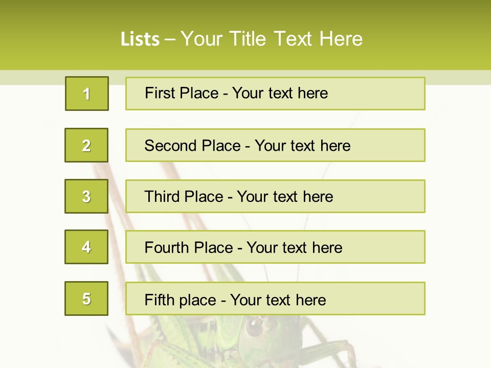 White Stallion Color PowerPoint Template