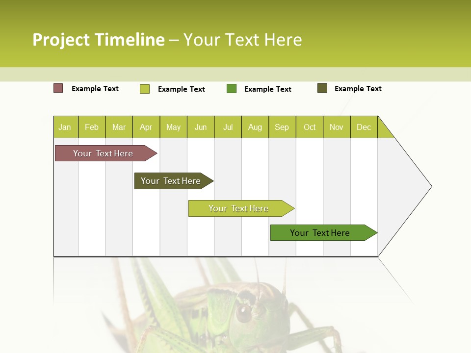 White Stallion Color PowerPoint Template