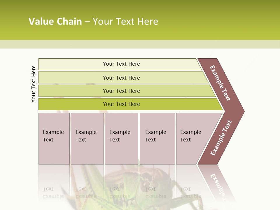 White Stallion Color PowerPoint Template
