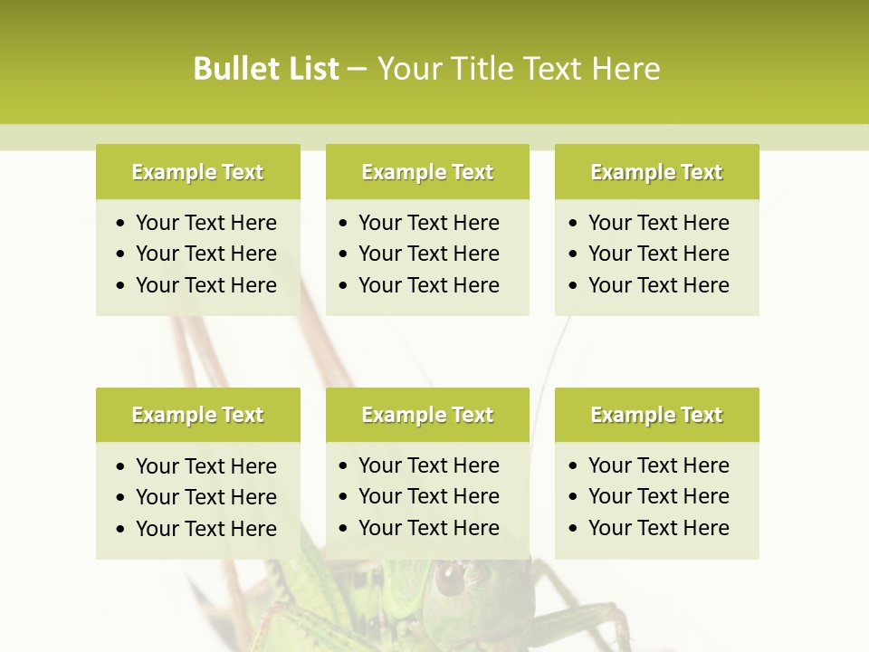 White Stallion Color PowerPoint Template