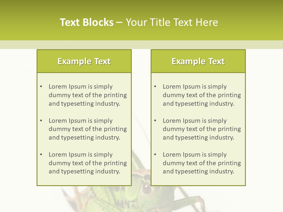 White Stallion Color PowerPoint Template