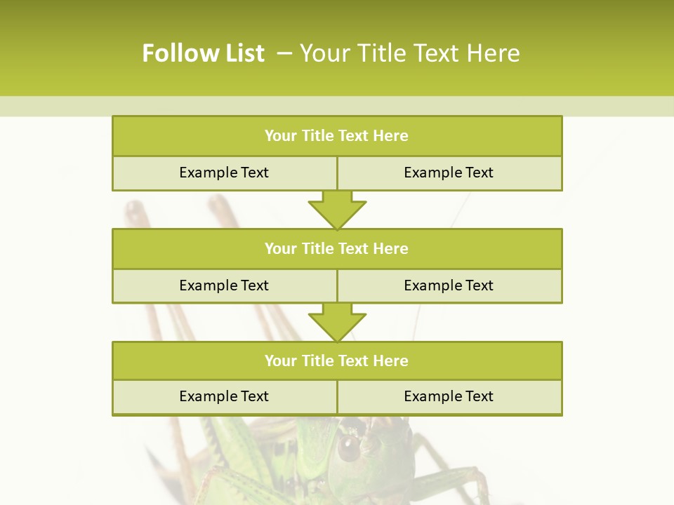 White Stallion Color PowerPoint Template
