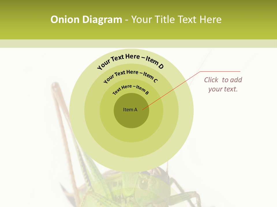 White Stallion Color PowerPoint Template