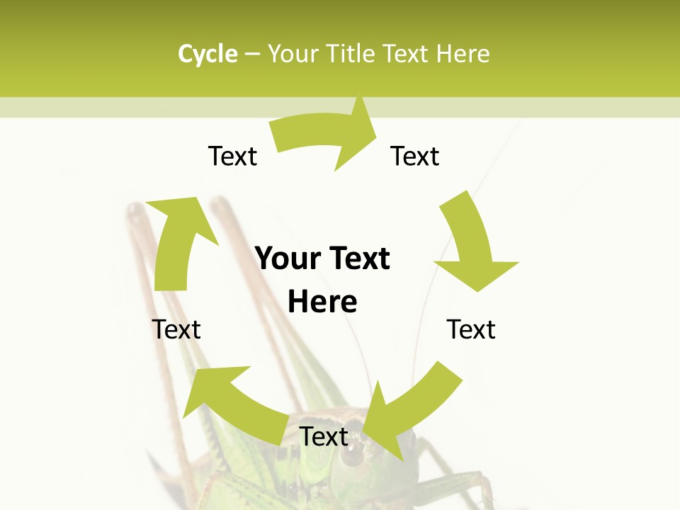 White Stallion Color PowerPoint Template