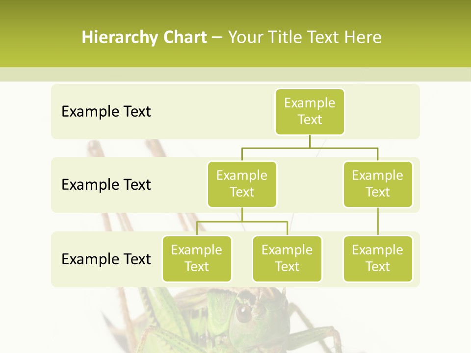 White Stallion Color PowerPoint Template