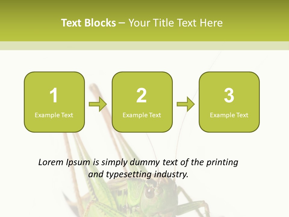 White Stallion Color PowerPoint Template