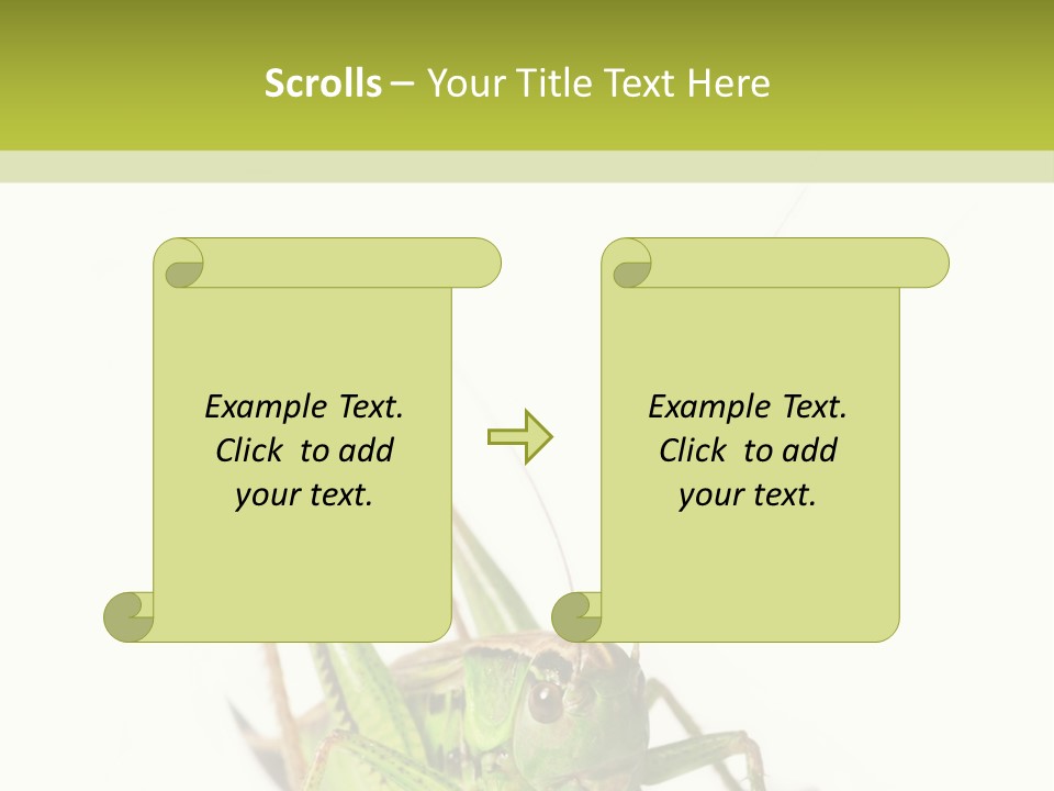 White Stallion Color PowerPoint Template