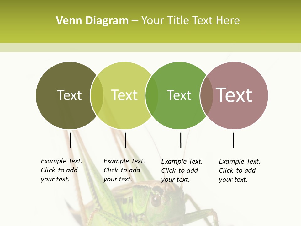 White Stallion Color PowerPoint Template