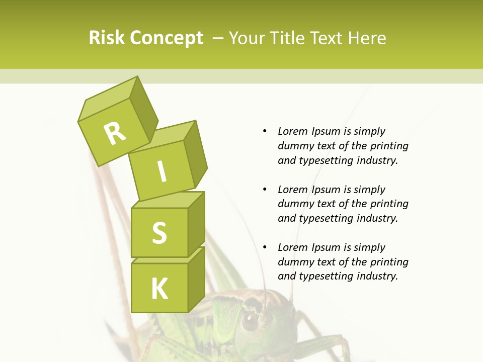 White Stallion Color PowerPoint Template