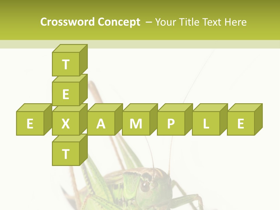 White Stallion Color PowerPoint Template