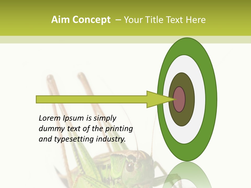 White Stallion Color PowerPoint Template