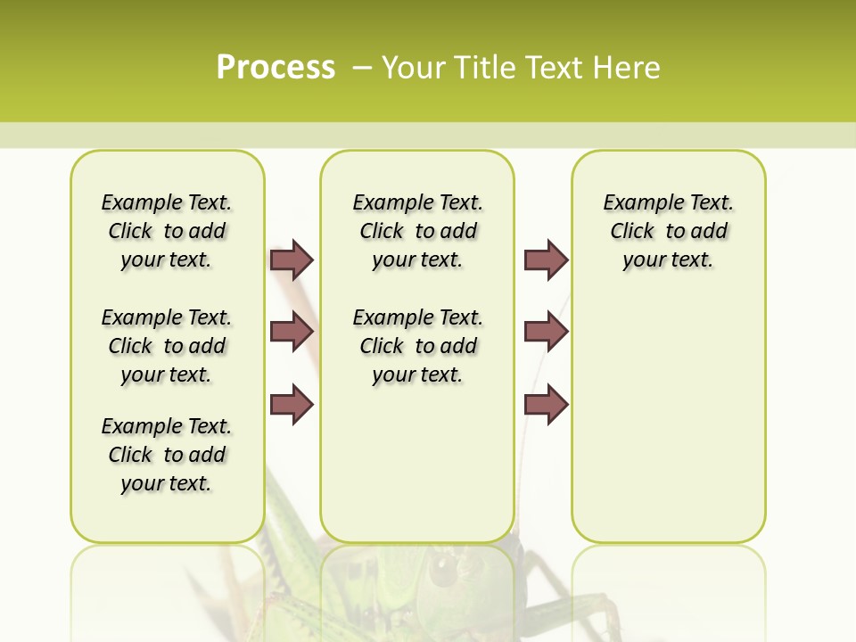 White Stallion Color PowerPoint Template