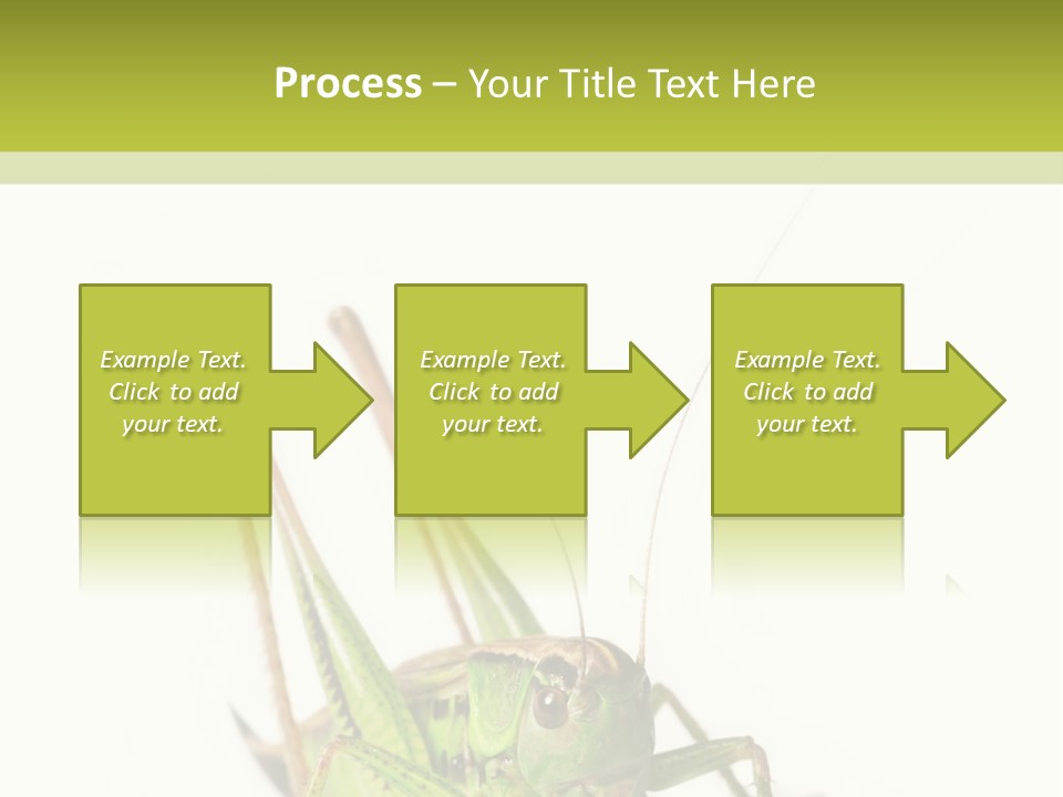 White Stallion Color PowerPoint Template