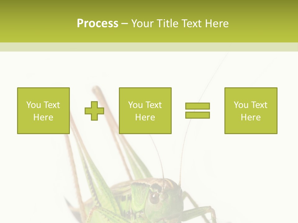 White Stallion Color PowerPoint Template