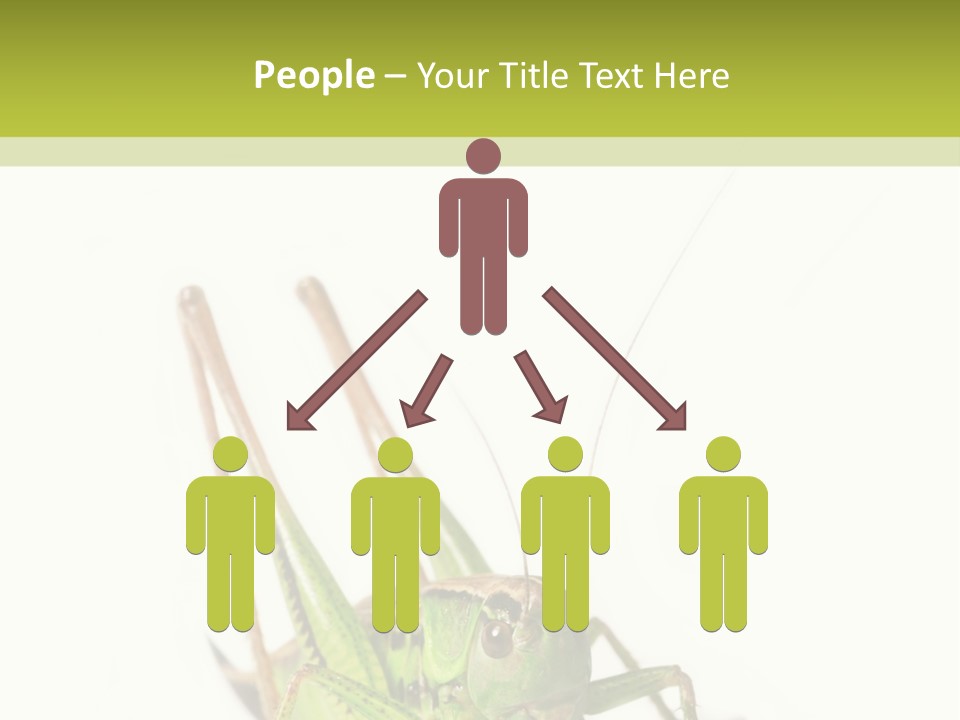 White Stallion Color PowerPoint Template