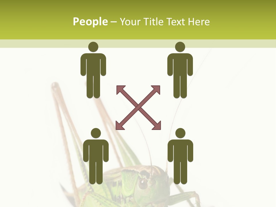 White Stallion Color PowerPoint Template