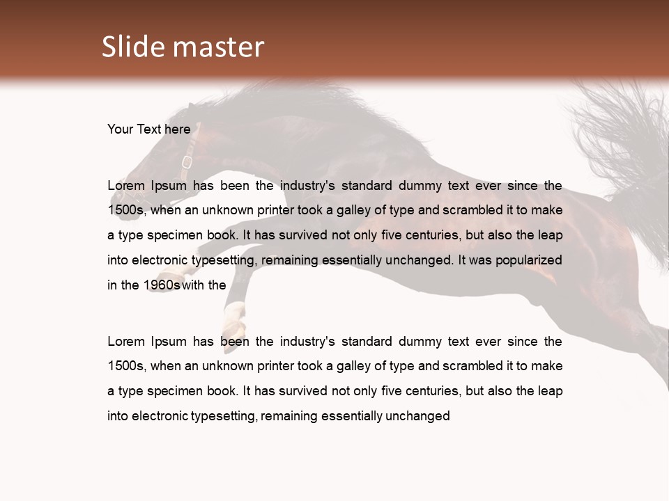 Isolated Stallion Chestnut PowerPoint Template