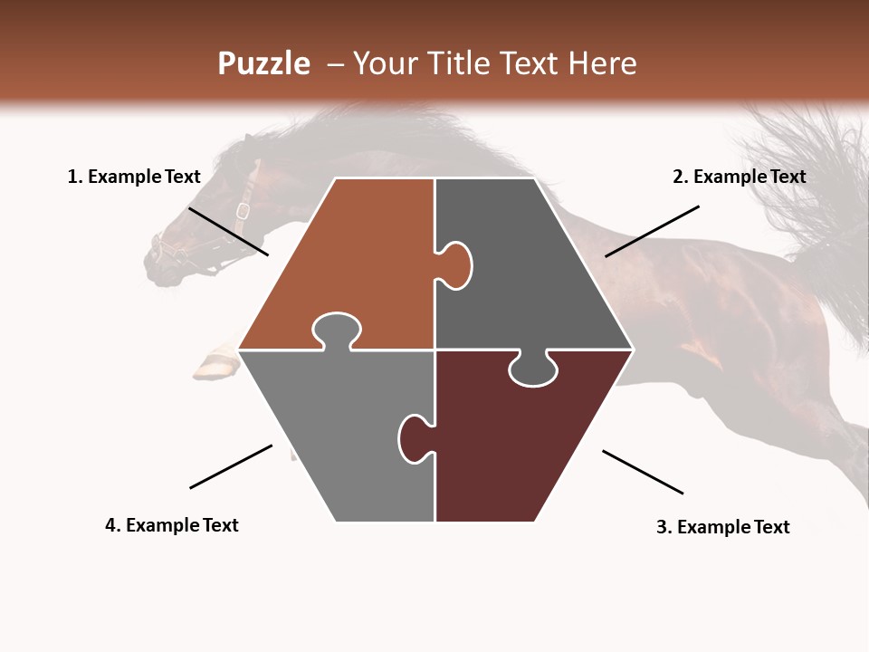 Isolated Stallion Chestnut PowerPoint Template