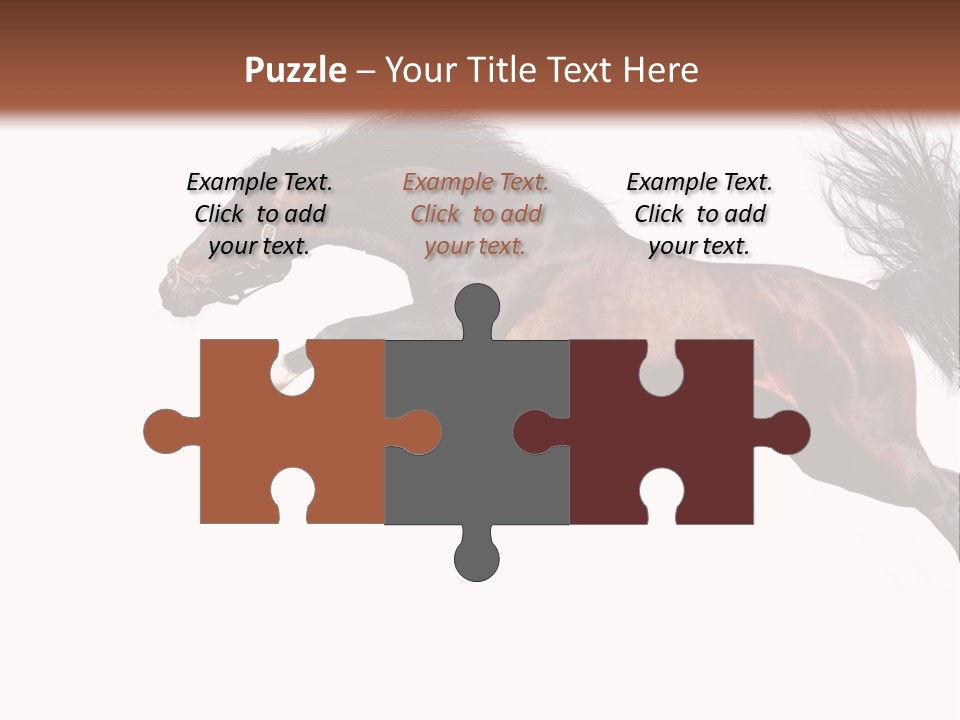 Isolated Stallion Chestnut PowerPoint Template