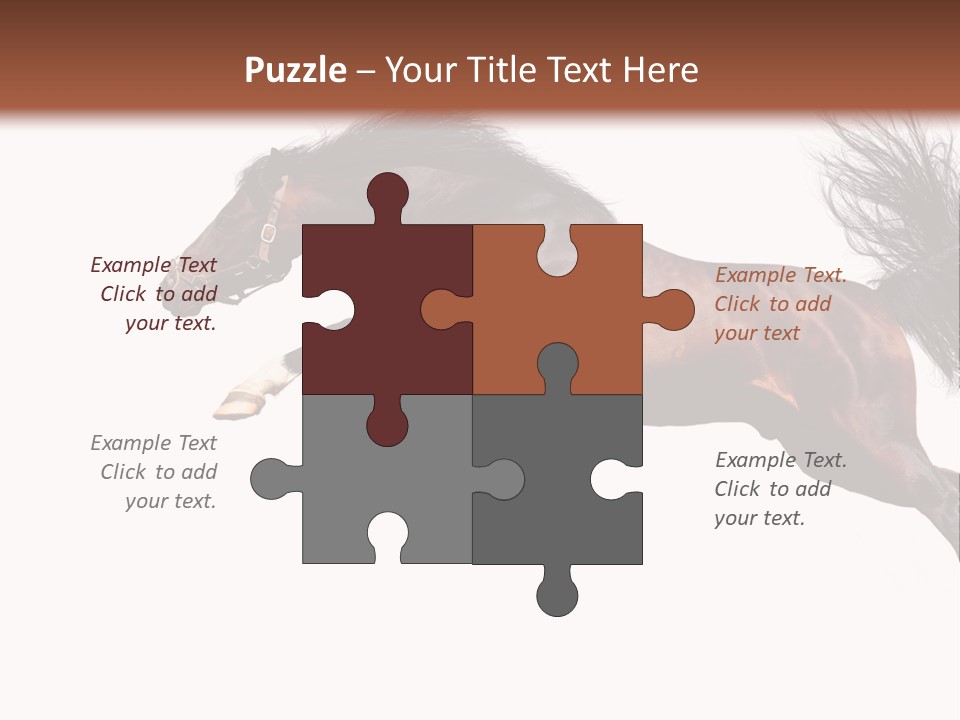 Isolated Stallion Chestnut PowerPoint Template