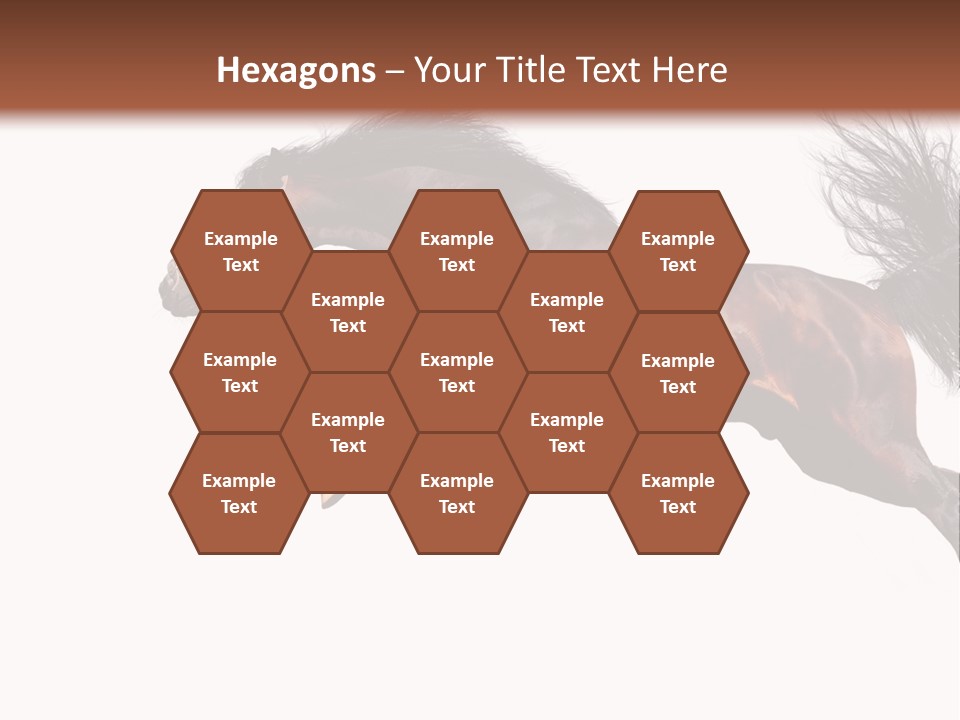 Isolated Stallion Chestnut PowerPoint Template