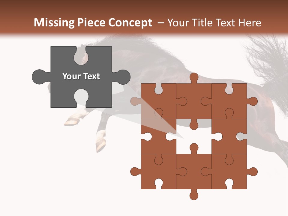 Isolated Stallion Chestnut PowerPoint Template