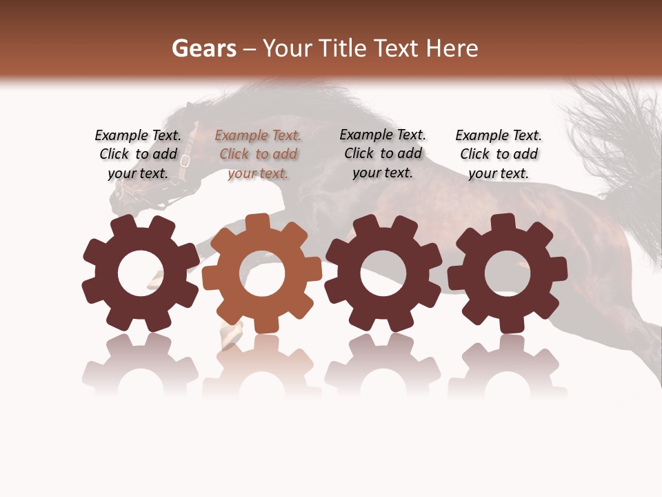 Isolated Stallion Chestnut PowerPoint Template