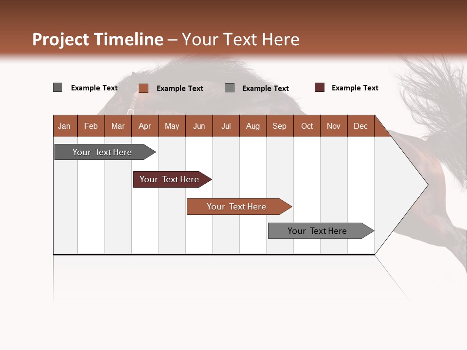 Isolated Stallion Chestnut PowerPoint Template