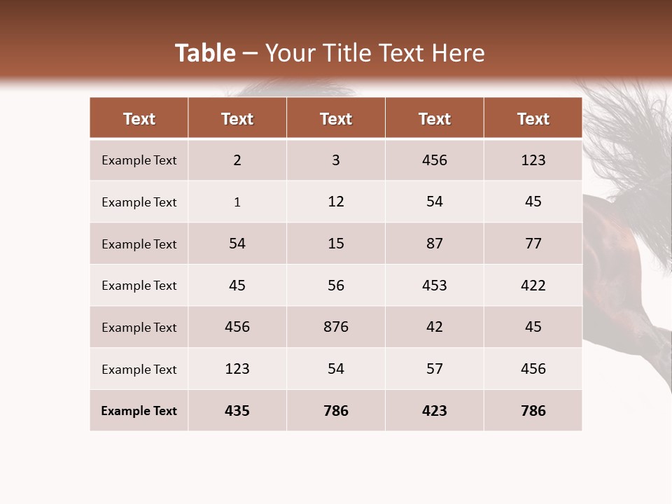 Isolated Stallion Chestnut PowerPoint Template