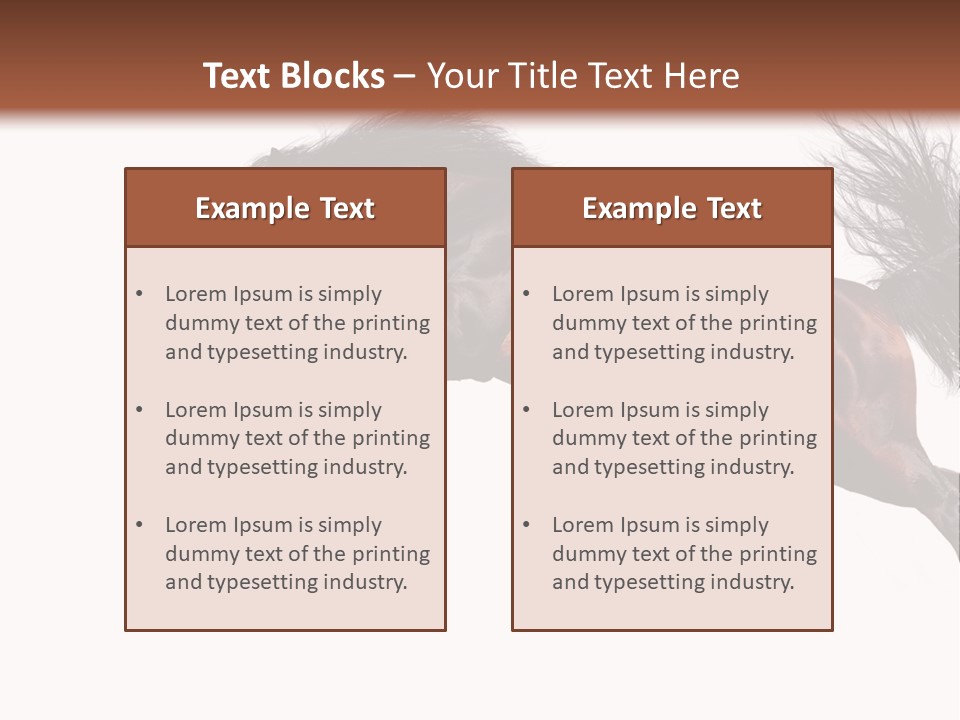 Isolated Stallion Chestnut PowerPoint Template