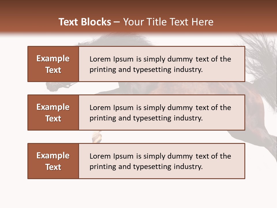 Isolated Stallion Chestnut PowerPoint Template
