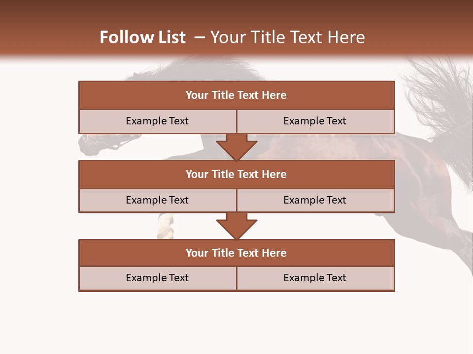 Isolated Stallion Chestnut PowerPoint Template