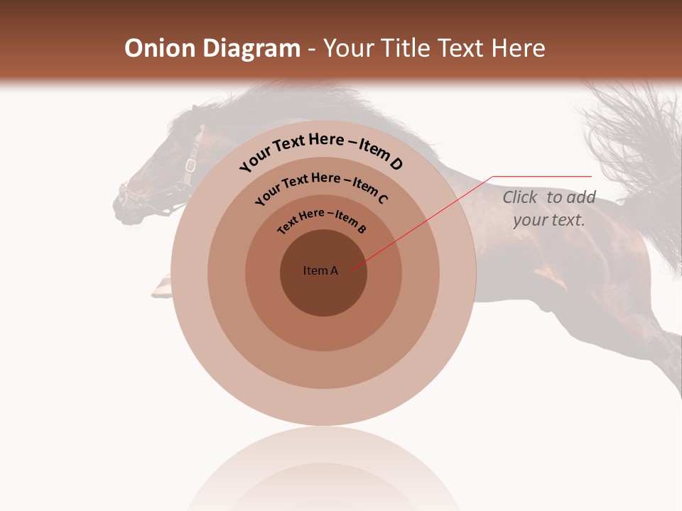 Isolated Stallion Chestnut PowerPoint Template