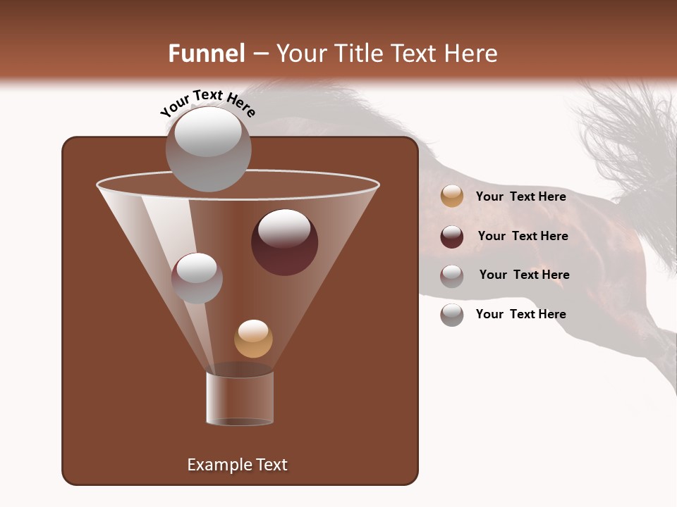 Isolated Stallion Chestnut PowerPoint Template