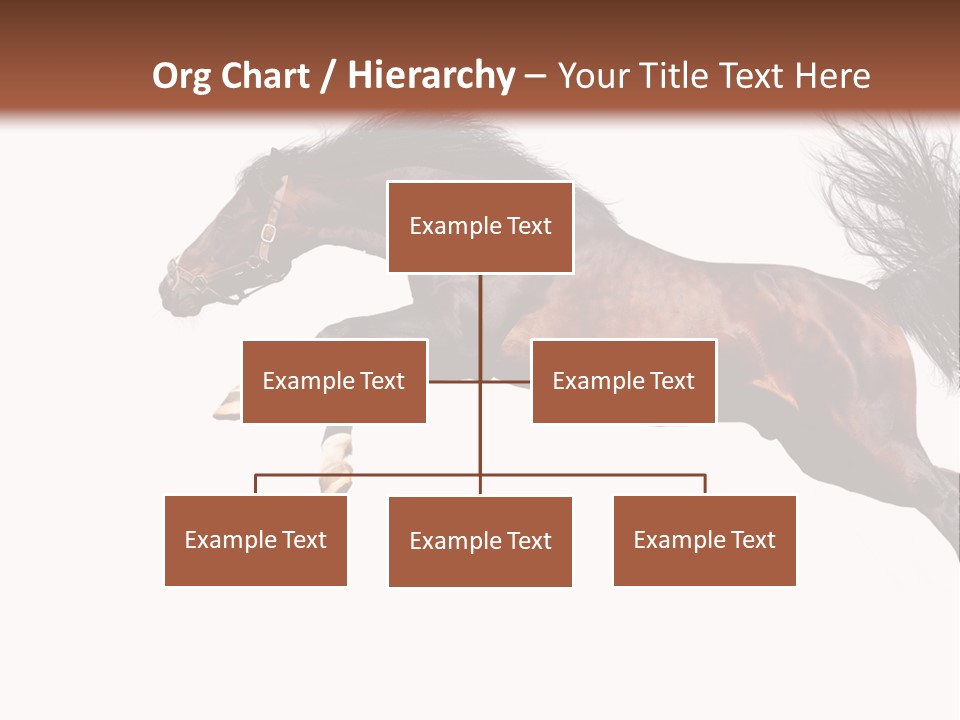 Isolated Stallion Chestnut PowerPoint Template