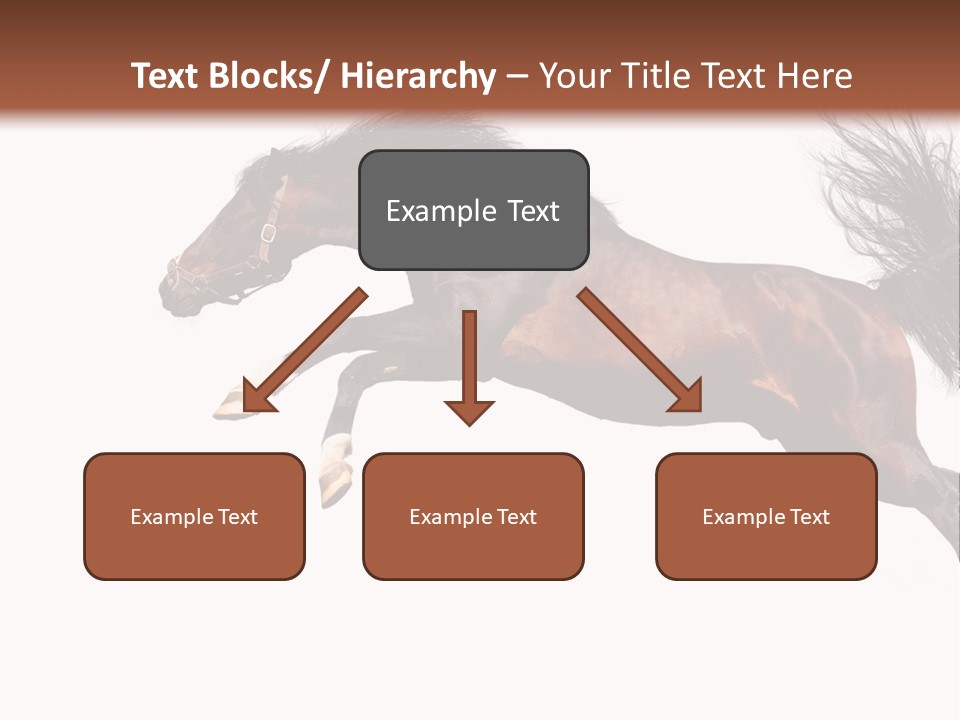 Isolated Stallion Chestnut PowerPoint Template