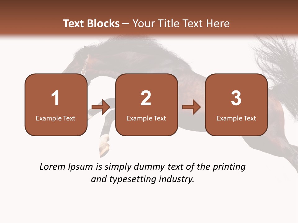 Isolated Stallion Chestnut PowerPoint Template
