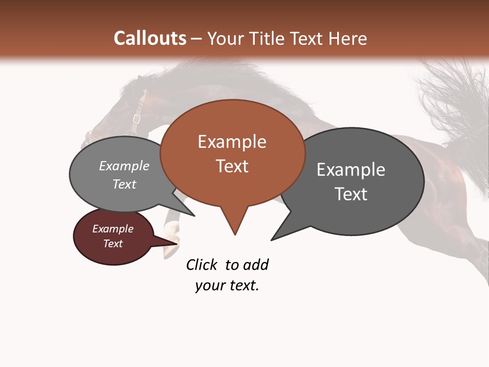 Isolated Stallion Chestnut PowerPoint Template