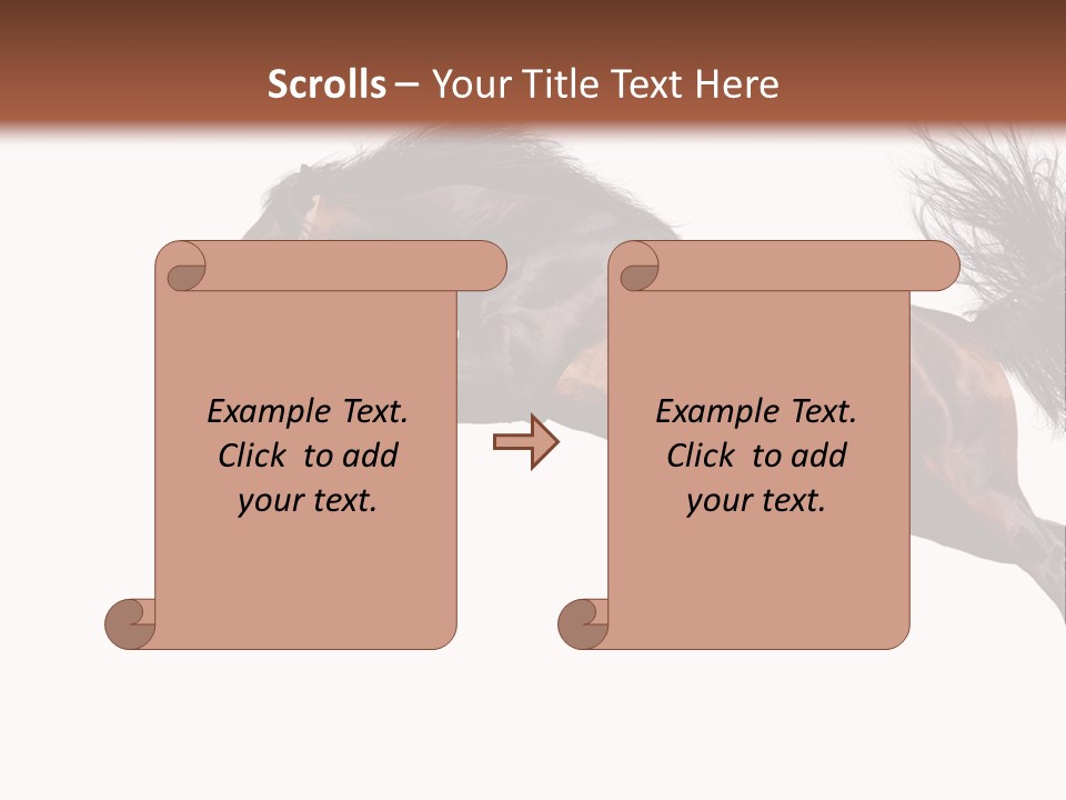 Isolated Stallion Chestnut PowerPoint Template