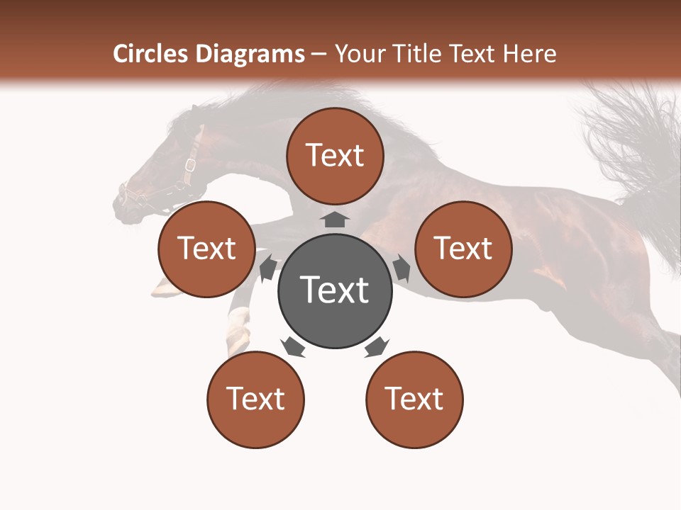 Isolated Stallion Chestnut PowerPoint Template