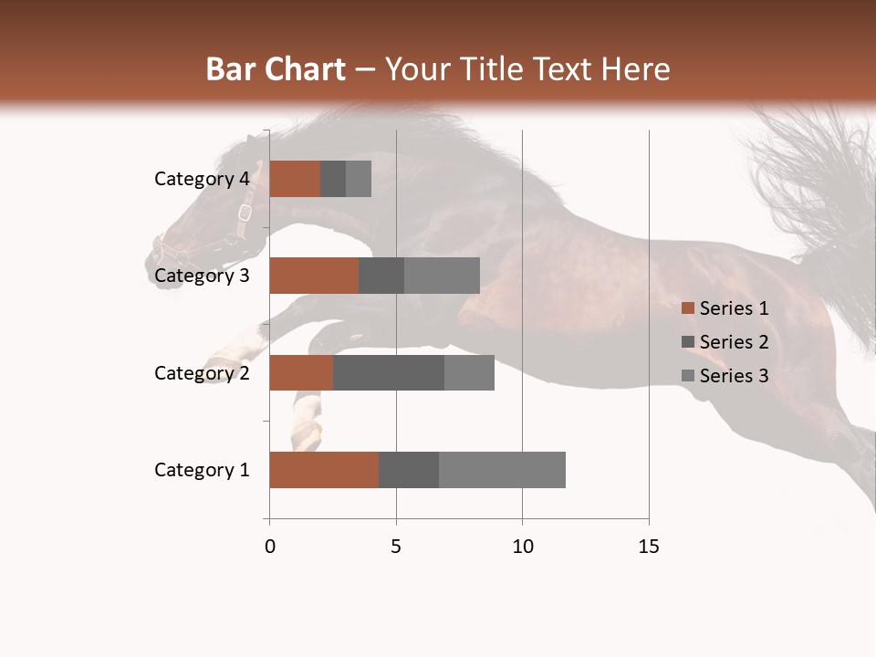 Isolated Stallion Chestnut PowerPoint Template
