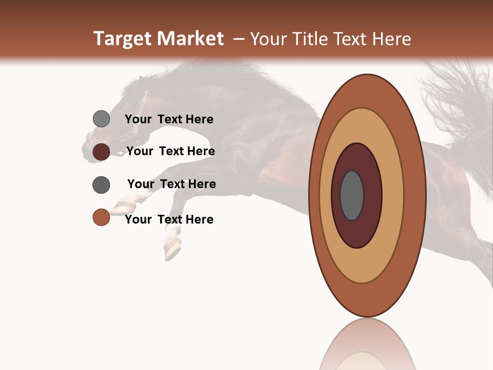 Isolated Stallion Chestnut PowerPoint Template