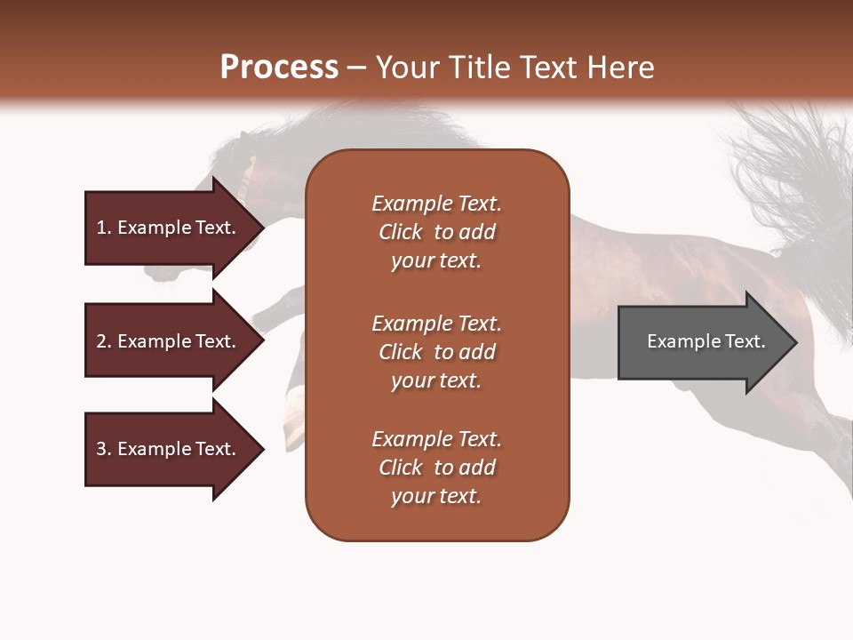 Isolated Stallion Chestnut PowerPoint Template