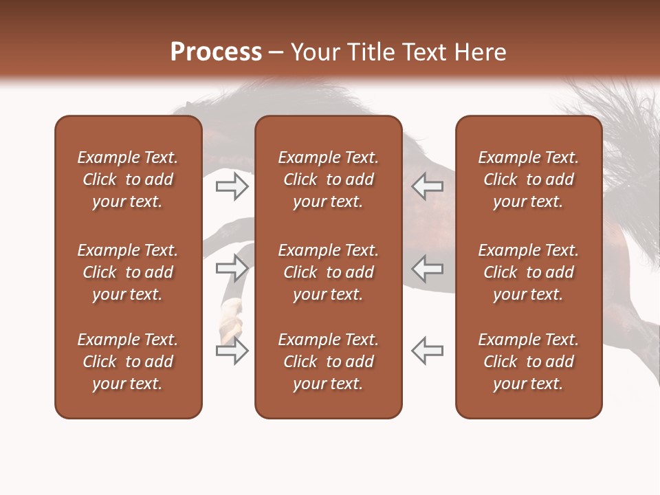 Isolated Stallion Chestnut PowerPoint Template