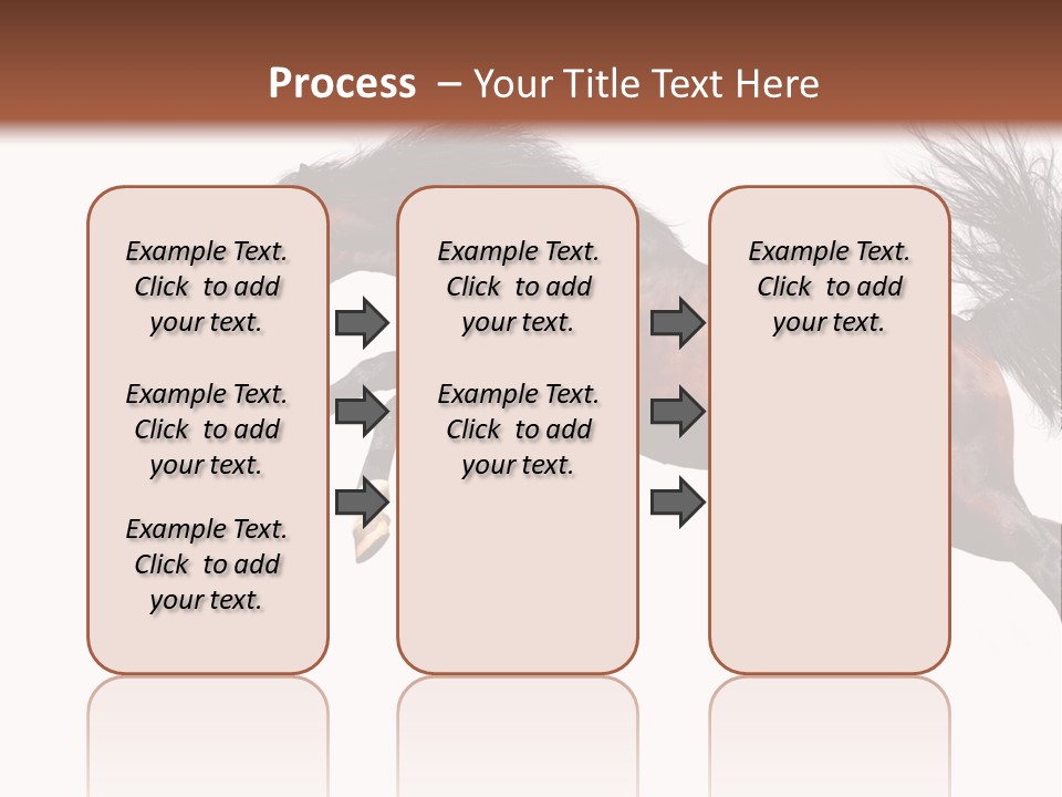 Isolated Stallion Chestnut PowerPoint Template