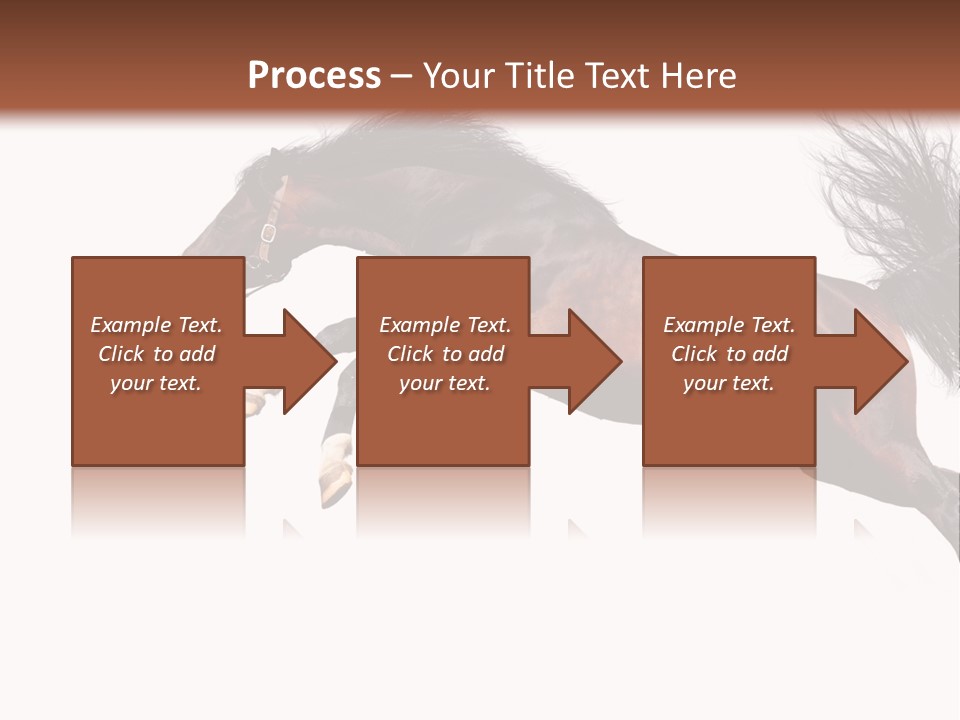 Isolated Stallion Chestnut PowerPoint Template