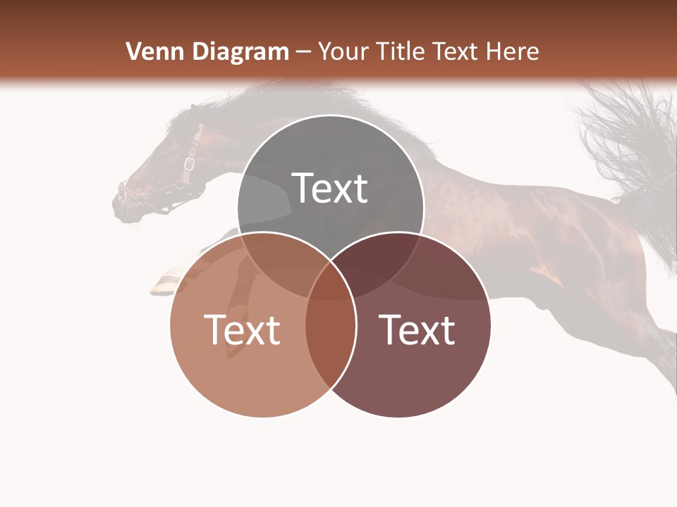 Isolated Stallion Chestnut PowerPoint Template