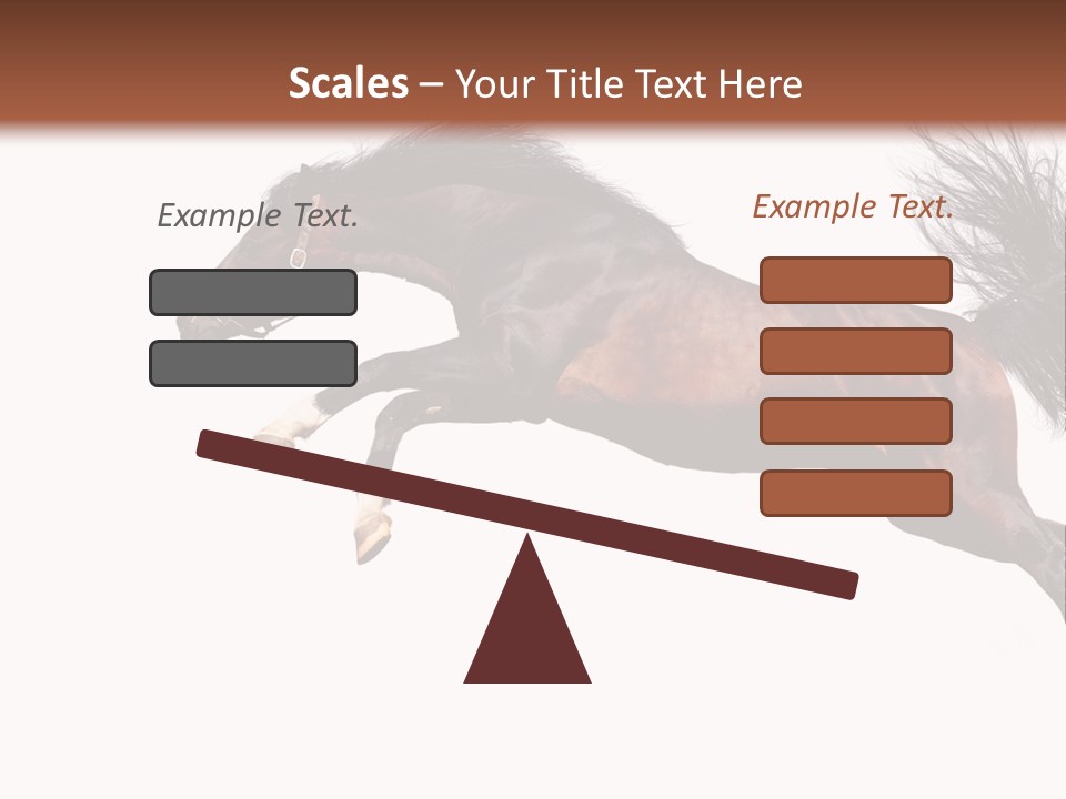 Isolated Stallion Chestnut PowerPoint Template