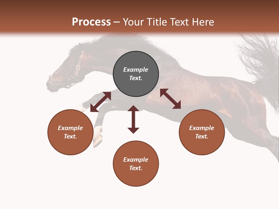 Isolated Stallion Chestnut PowerPoint Template